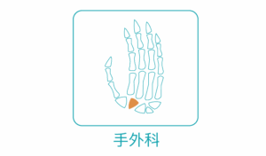 Icon 手外科
